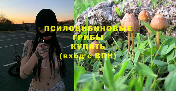 a pvp Бронницы
