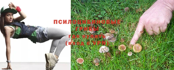 a pvp Бронницы