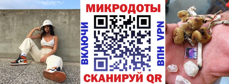 Псилоцибиновые грибы мухоморы  хочу наркоту  Медногорск 