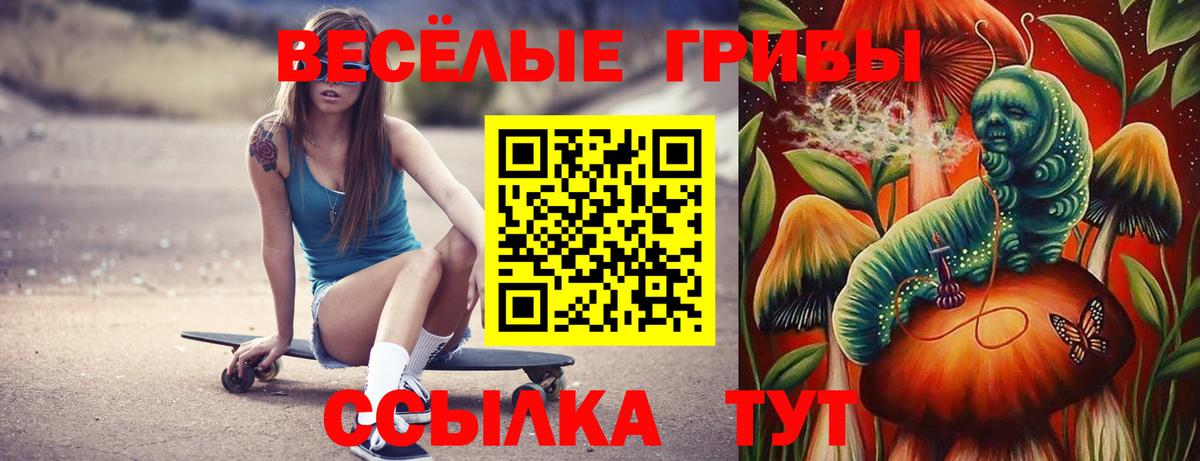 закладки  Галлюциногенные грибы MAGIC MUSHROOMS  Вход с VPN  Медногорск 