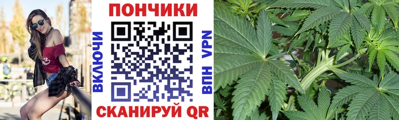 Бошки Шишки марихуана наркошоп Медногорск